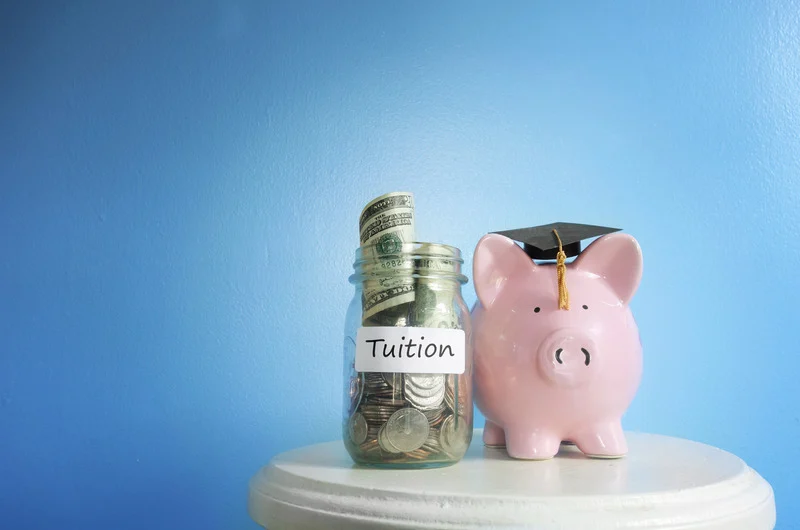 Piggy tuition